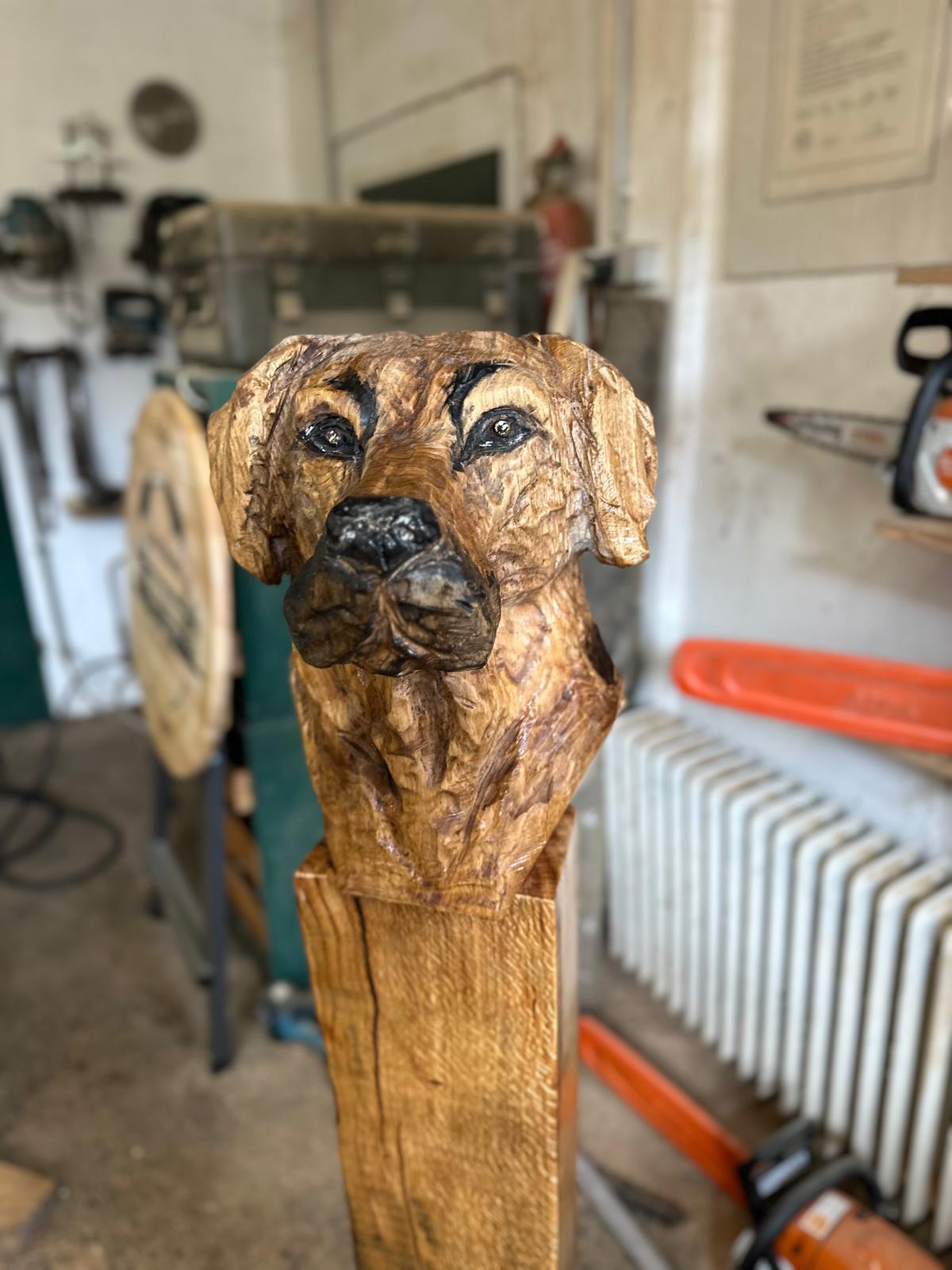 Hundekopf