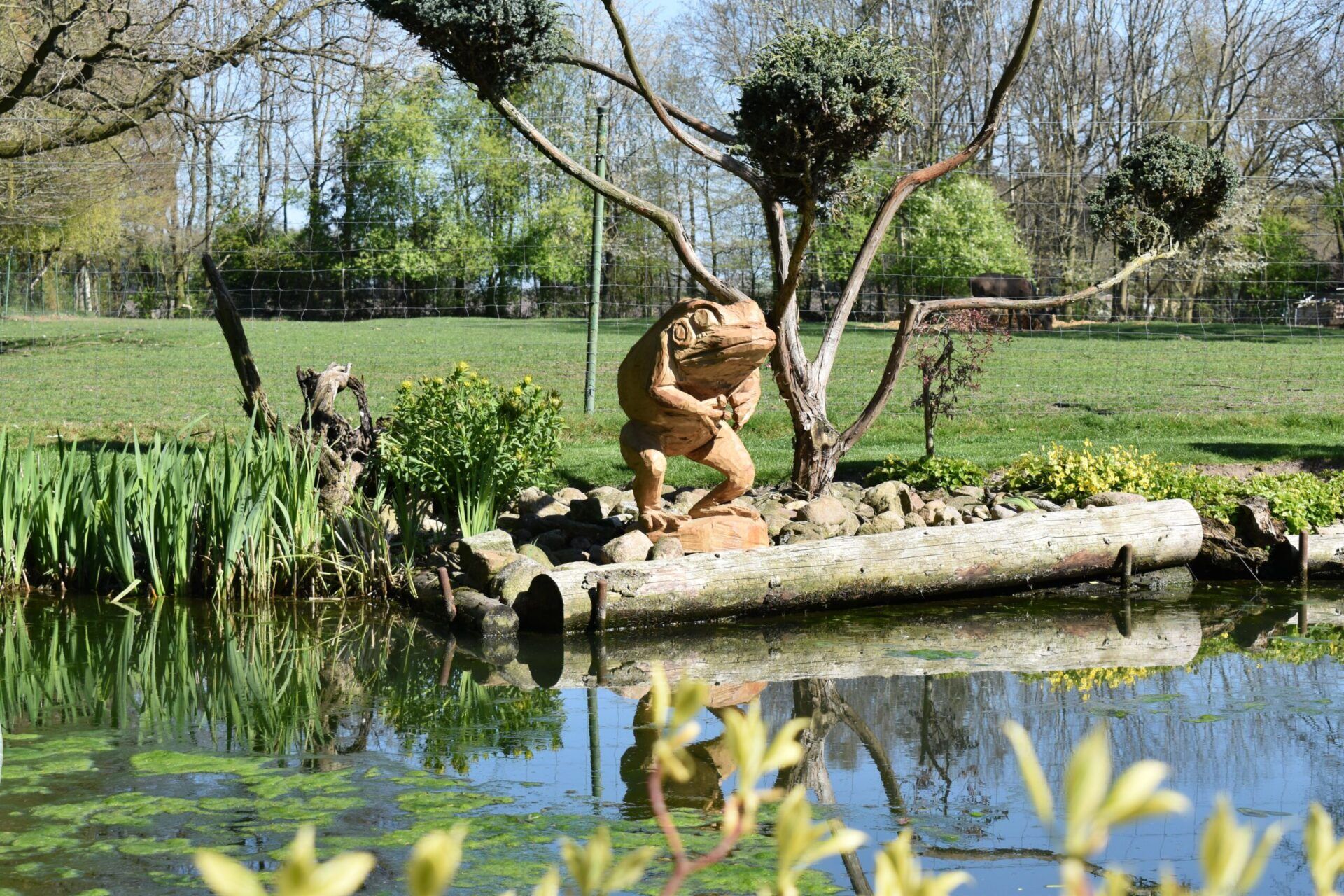 Gartenfigur Frosch – Bild 2