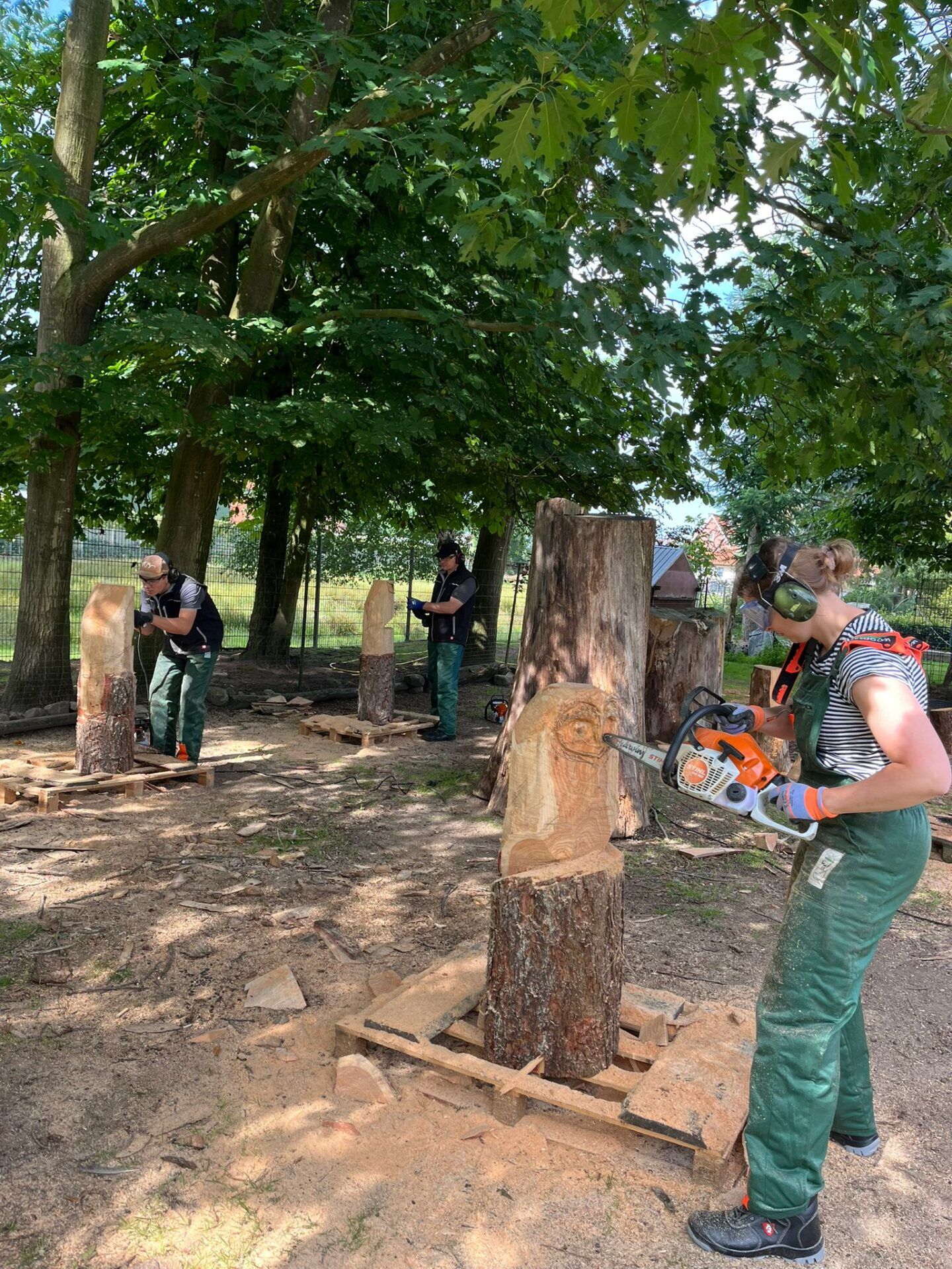 SCHNITZKURS EULE – Bild 3