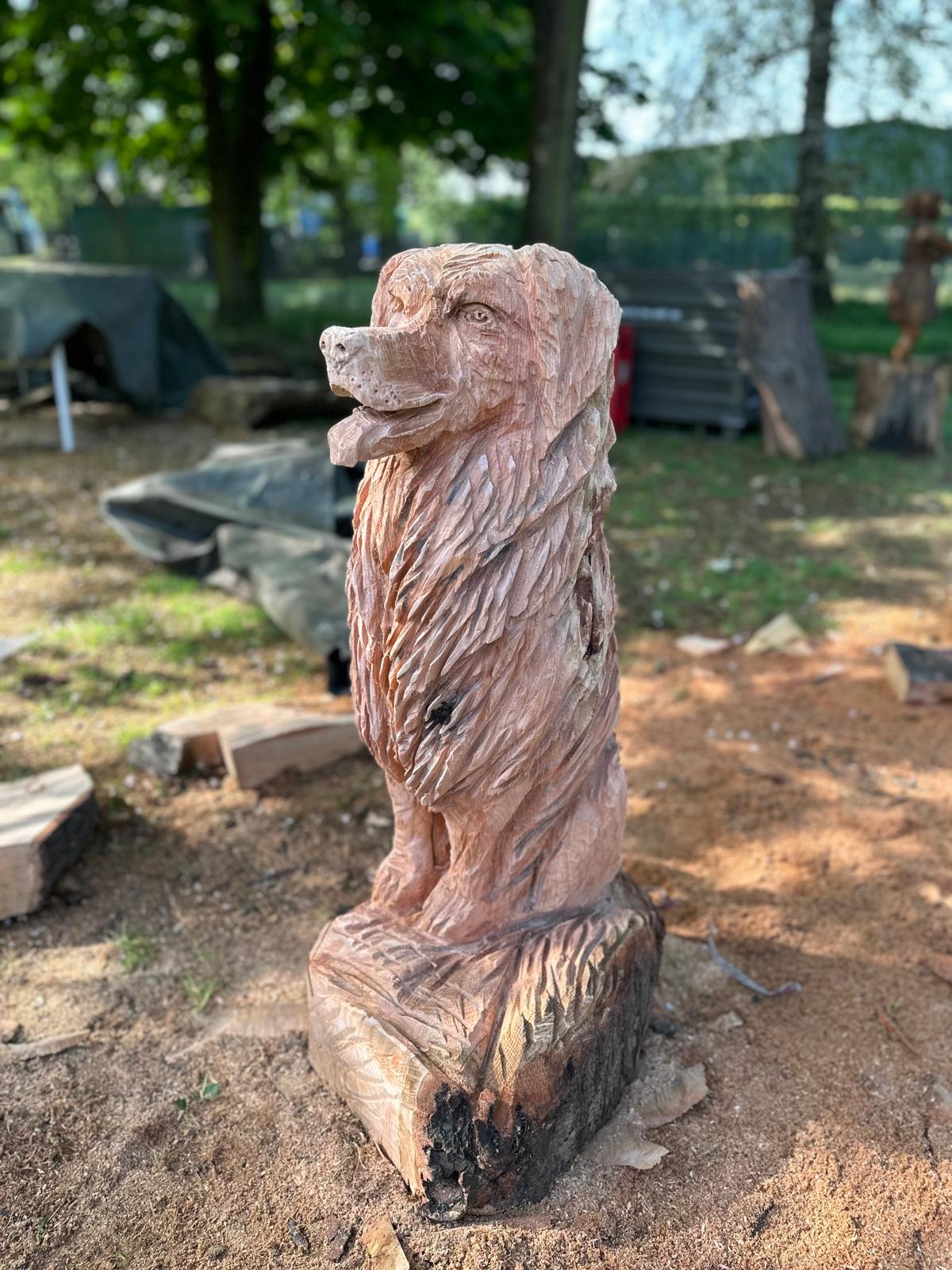 Holzhund (großer Hund) – Bild 3