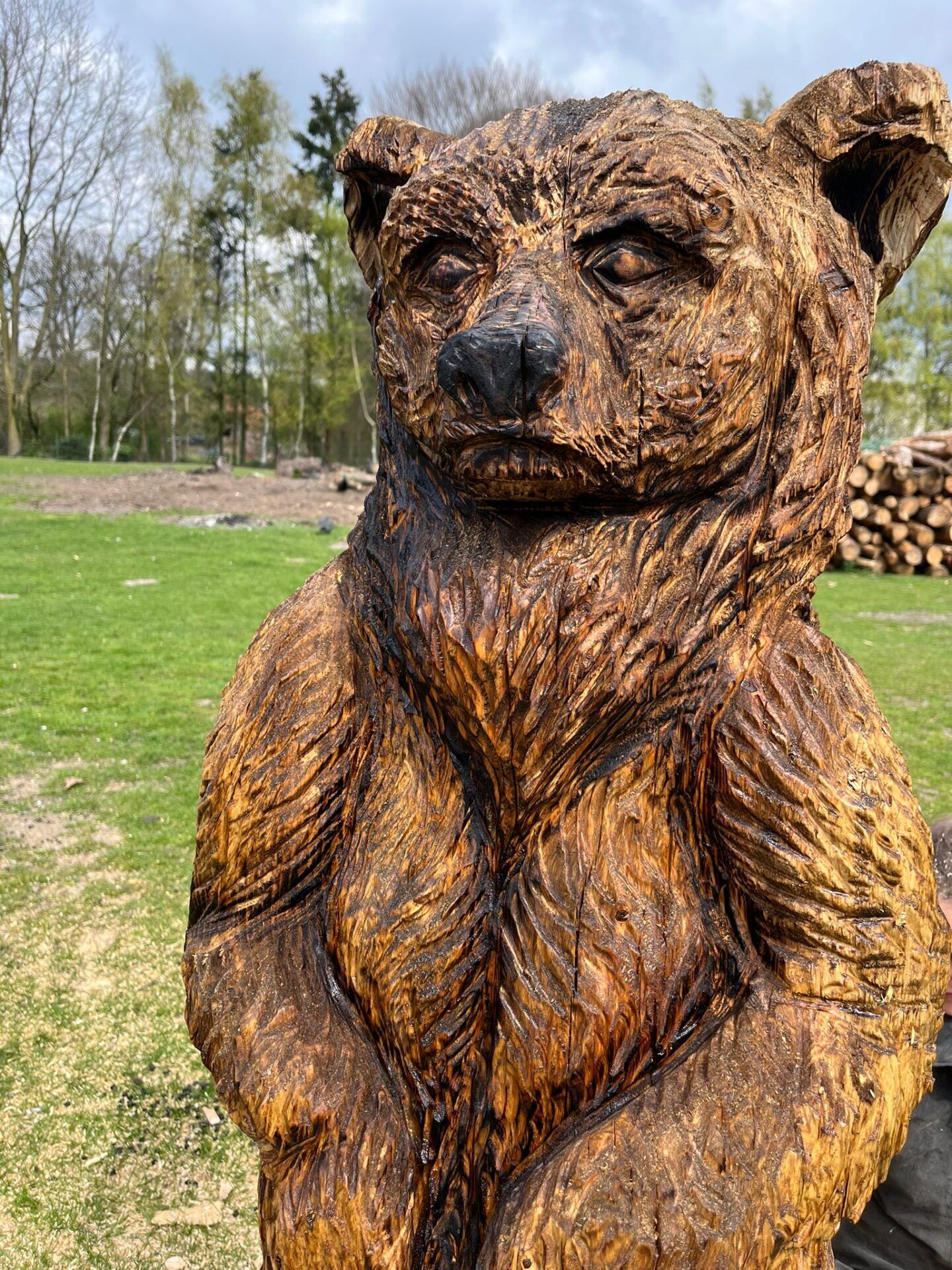 Bär Skulptur – Bild 2