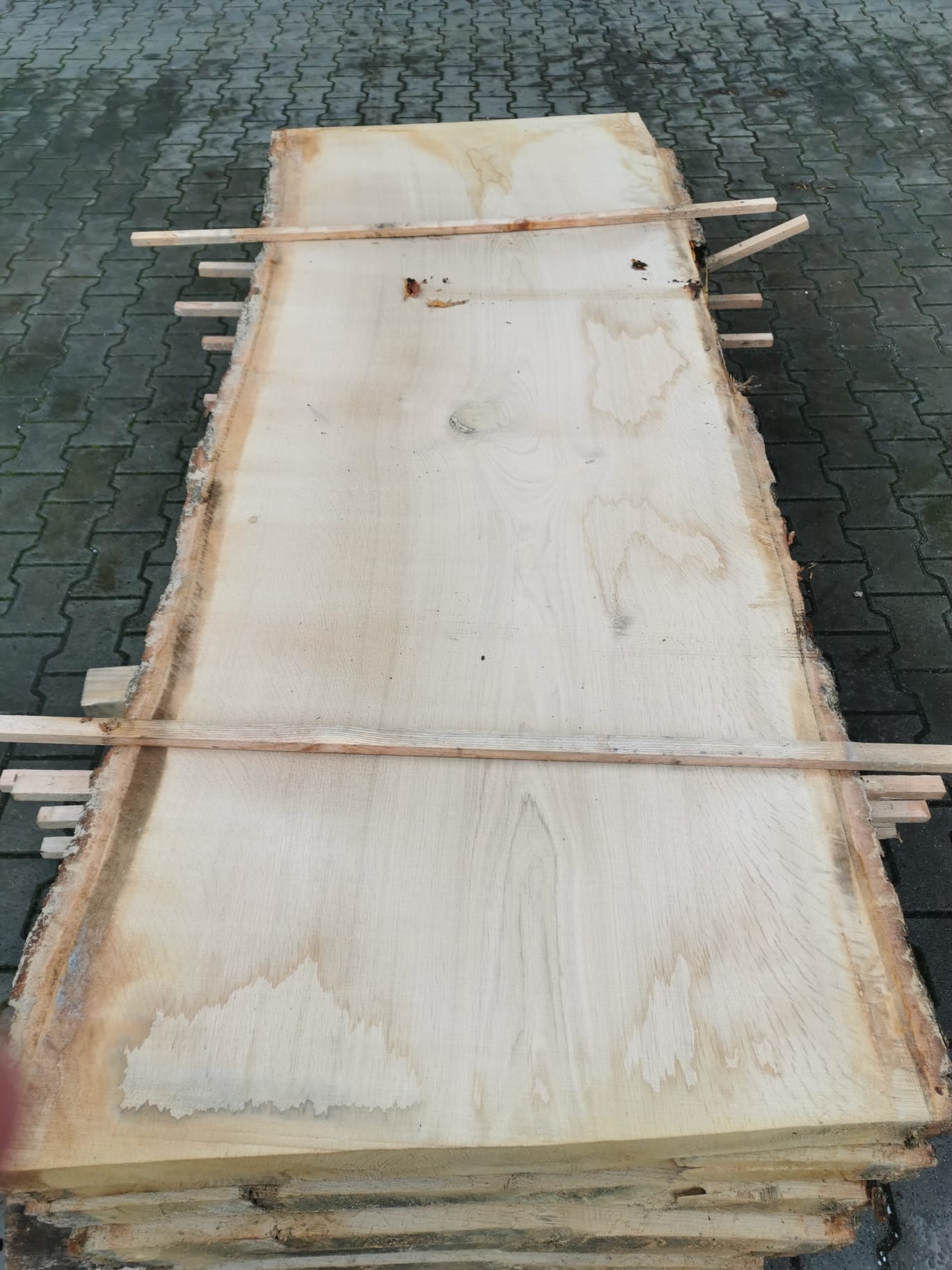 Eichenbohlen – Bild 4