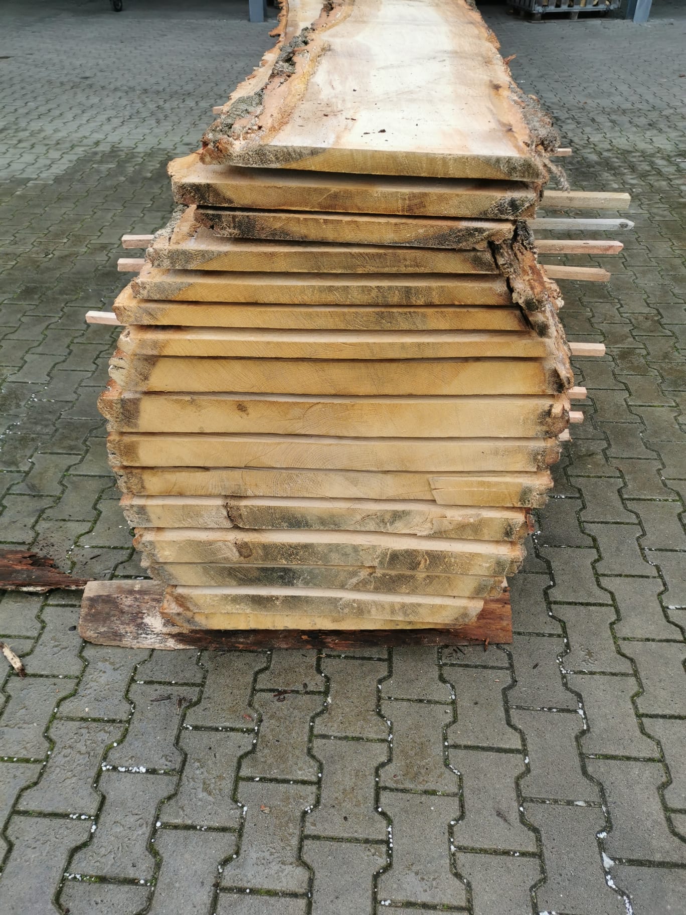 Eichenbohlen – Bild 2