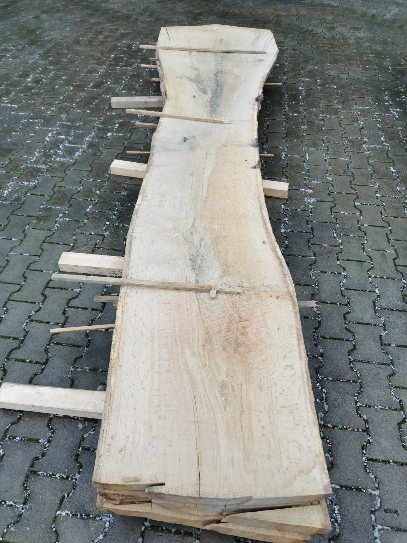 Eichenbohlen – Bild 3